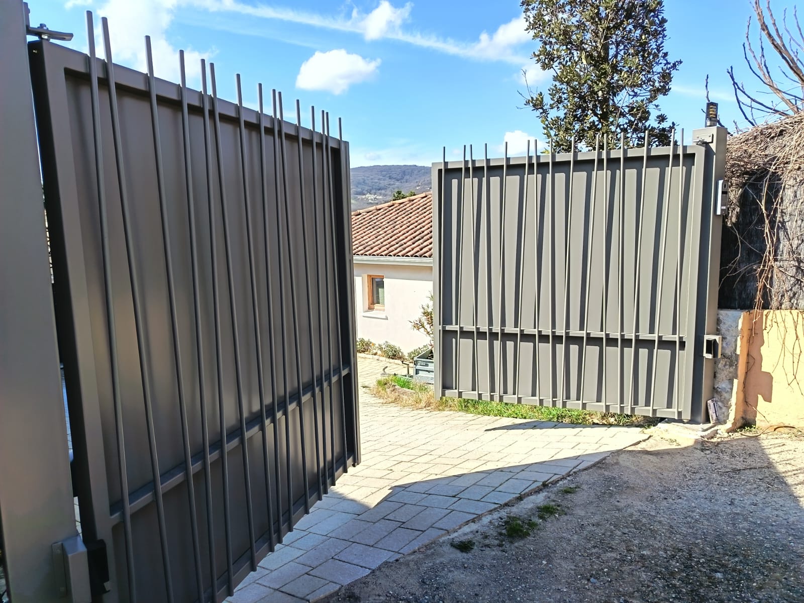 portail acier lyon bambou